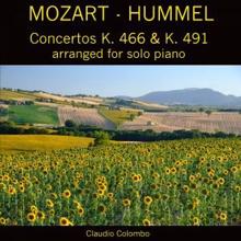 Claudio Colombo: Piano Concerto No. 20 in D Minor, K. 466: II. Romance (Arranged for Solo Piano by Hummel)