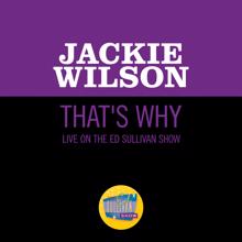 Jackie Wilson: That's Why (I Love You So) (Live On The Ed Sullivan Show, January 21, 1962) (That's Why (I Love You So))