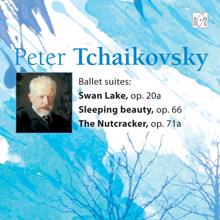 St. Petersburg State Symphonic Orchestra: Peter Tchaikovsky. Ballet suites. Swan Lake. Sleeping Beauty. Nutcracker.