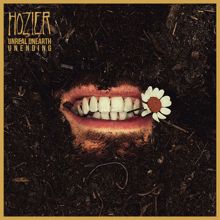 Hozier: Too Sweet