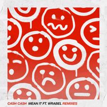 Cash Cash, Wrabel: Mean It (feat. Wrabel) (Vice Remix)