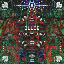 Ollie: Groovy Buns