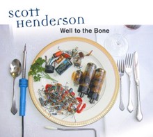 Scott Henderson: Ashes