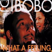 DJ Bobo: Man in the Mirror (Instrumental)