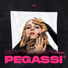 Luka: Not Too Late (Pegassi Remix)