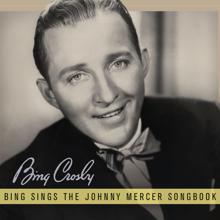 Bing Crosby, John Scott Trotter and His Orchestra: Skylark