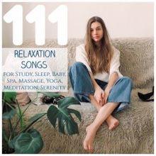Various Artists: 111 Relaxation Songs for Study, Sleep, Baby, Spa, Massage, Yoga, Meditation, Serenity