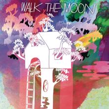 Walk The Moon: anywayican