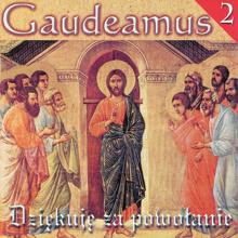 Gaudeamus: Brazowa Madonna