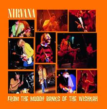 Nirvana: From The Muddy Banks Of The Wishkah (Live)