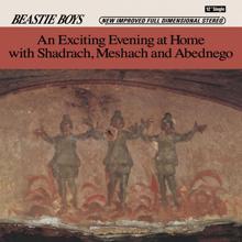 Beastie Boys: An Exciting Evening At Home With Shadrach, Meshach And Abednego