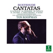 Ton Koopman: Buxtehude: Cantatas