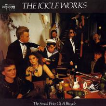 The Icicle Works: Rapids