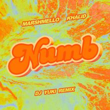 Marshmello x Khalid: Numb (DJ YUKI Remix)