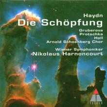 Nikolaus Harnoncourt: Haydn  Die Schöpfung [The Creation]