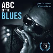 John Lee Hooker: ABC Of The Blues Vol 13