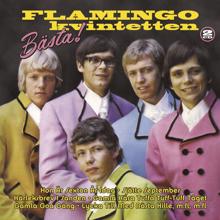 Flamingokvintetten: Guitar Boogie
