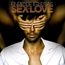 Enrique Iglesias, Pitbull: Let Me Be Your Lover
