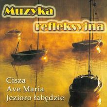 Misart: Muzyka refleksyjna