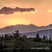 Nature Sounds: Warm Summer Nights