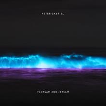 Peter Gabriel: Flotsam And Jetsam