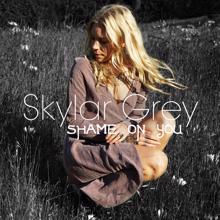 Skylar Grey: Shame on You