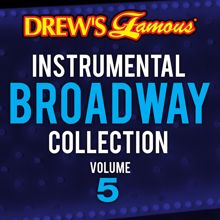 The Hit Crew: Drew's Famous Instrumental Broadway Collection (Vol. 5)