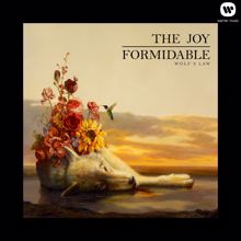 The Joy Formidable: Cholla