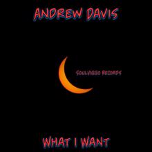 Andrew Davis: What I Want