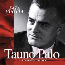 Tauno Palo, Dallapé-orkesteri: Hulivilipoika