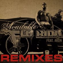 Flo Rida: Available (feat. Akon) (Benny Benassi Remix Instrumental)