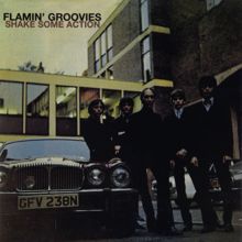 Flamin' Groovies: Shake Some Action