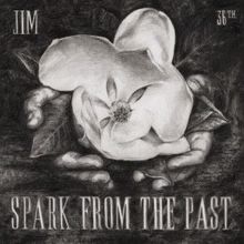 JIM: Spark from the Past