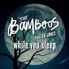 The Bamboos: While You Sleep (feat. Ev Jones)