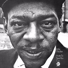 Little Walter: Nobody But You (Single Version)