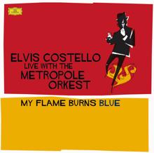 Elvis Costello: Costello: My Flame Burns Blue