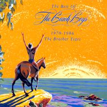 The Beach Boys: Tears In The Morning (Remastered  2000) (Tears In The Morning)