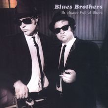 The Blues Brothers: Briefcase Full of Blues