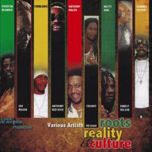 Various Artists: Roots, Reality & Culture