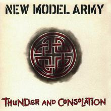 New Model Army: Green and Grey (2005 Remaster)