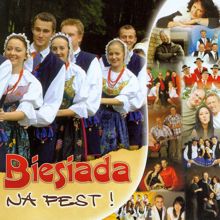 Various Artists: Biesiada na fest!