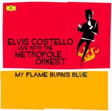 Elvis Costello: Costello: My Flame Burns Blue