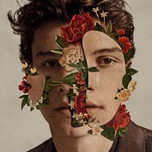 Shawn Mendes: Queen
