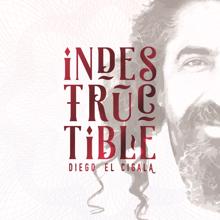 Diego El Cigala Con Oscar D'León: El Paso de Encarnación