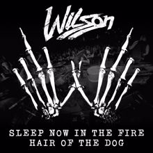 Wilson: Sleep Now In The Fire / Hair Of The Dog