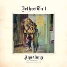 Jethro Tull: Up the 'Pool (Early Version; Steven Wilson Stereo Remix)