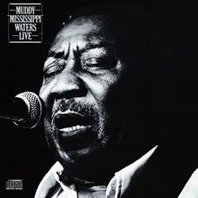 Muddy Waters: Muddy "Mississippi" Waters Live