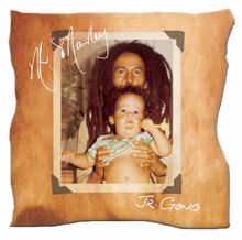 Damian "Jr. Gong" Marley: Love and Inity (Album Version) (Love and Inity)