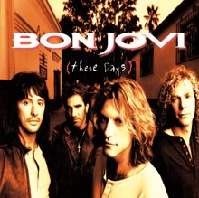 Bon Jovi: My Guitar Lies Bleeding In My Arms (Album Version)
