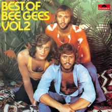 Bee Gees: Morning Of My Life